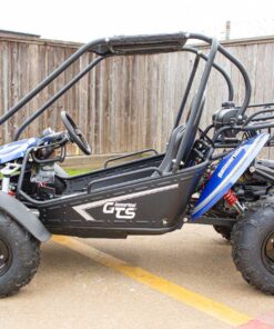 Hammerhead Recreational GTS 150 Go Kart